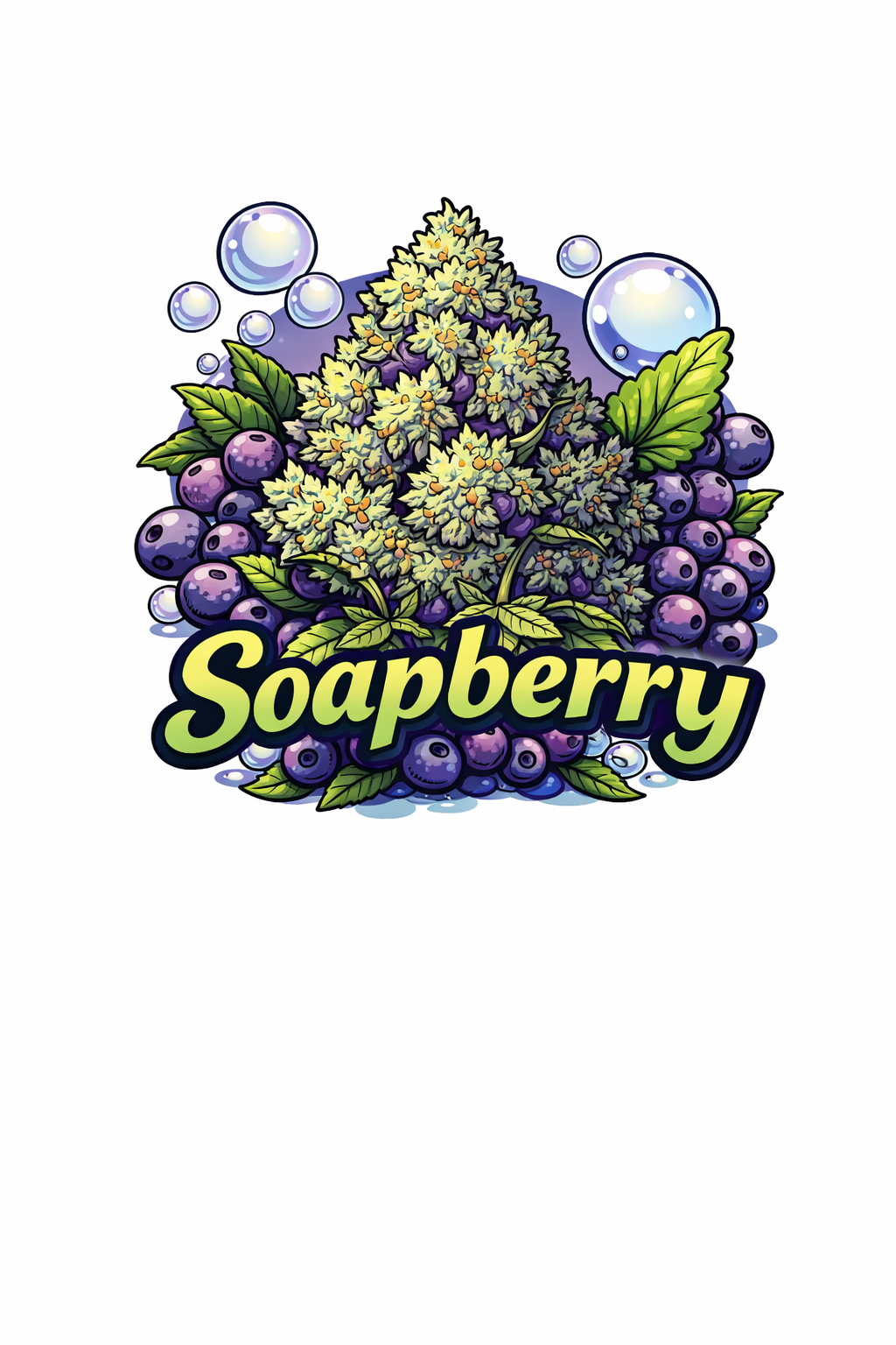 Soapberry cannabis strain – fresh citrus terp profile, balanced hybrid for Canadian growers